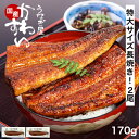 うなぎ 国産 かわすい 冷凍 送料無料 特大 うなぎ蒲焼き 170g×2本 【うなぎ屋かわすい】 グルメ ウナギ 2尾 鰻 蒲焼…