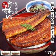 うなぎ 国産 かわすい 冷凍 送料無料 特大 うなぎ蒲焼き 170g×2本 【うなぎ屋かわすい】 グルメ ウナギ …