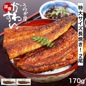 うなぎ 国産 かわすい ＼楽天1位の極上鰻／ 冷凍 送料無料 特大 うなぎ蒲焼き 170g×2本 【うなぎ屋かわすい】 グルメ ウナギ 2尾 鰻 蒲焼き ひつまぶし うな丼 土用の丑の日 内祝い お返し 誕生日プレゼント 土用丑 土用の丑の日 食べ物 喜ばれる 贈答 ギフト 秋グルメ