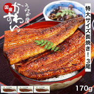 うなぎ 国産 かわすい 冷凍 送料無料 特大 うなぎ蒲焼き 170g×3本 【うなぎ屋かわすい】 グルメ ウナギ …