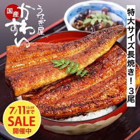 ＼土用丑企画！11日13:59迄タイムセール 10,590円→8,670円／ うなぎ 国産 かわすい 冷凍 送料無料 特大 うなぎ蒲焼き 170g×3本 【うなぎ屋かわすい】 グルメ ウナギ 鰻 蒲焼き ひつまぶし うな丼 内祝い お返し 誕生日プレゼント 食べ物 喜ばれる 贈答 ギフト