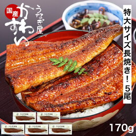 うなぎ 国産 かわすい ＼楽天1位の極上鰻／ 冷凍 送料無料 特大 うなぎ蒲焼き 170g×5本 【うなぎ屋かわすい】 グルメ ウナギ 鰻 蒲焼き ひつまぶし 内祝い 誕生日プレゼント 食べ物 贈答 ギフト