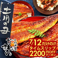 7月12日は楽天出店22周年！感謝の2,200円OFFクーポン！ うなぎ 国産 かわすい 冷凍 うなぎ蒲焼き 3種セッ…