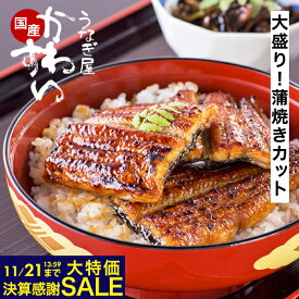 ＼決算感謝セール クーポン利用で1000円OFF／ うなぎ 国産 かわすい 送料無料 蒲焼きカット大盛り 500g 【うなぎ屋かわすい】グルメ ウナギ 鰻 蒲焼き うな丼 土用の丑の日 誕生日プレゼント 冷凍 食べ物 喜ばれる 親戚 贈答 大容量 ギフト お歳暮 御歳暮 冬ギフト 年末年始
