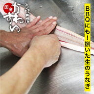 生のうなぎ 捌いた国産うなぎ うなぎ屋かわすい 開き ひらき 鰻 業務用 BBQ 送料無料 ウナギ 鰻 生 調理…