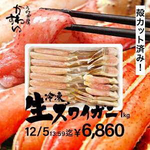 Ε Jj  YCKj Jbg 킢I yȂ킷z  3LTCY Y NNn  y 킢 YCI  ~Mtg Jj ~O ނg 킢I  