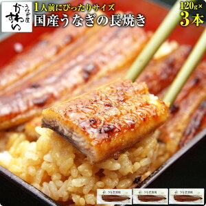 hV̓ Ȃ Y Ă  120g×3{ Ȃ킷 hV̓Mtg O EiM V  Ђ܂Ԃ Ș ȏd yp̉N̓ jԂ Ⓚ ypN av[