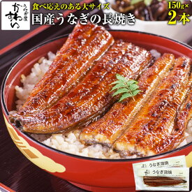 [食べごたえのある大サイズ ]国産うなぎ蒲焼き150g×2本[山椒別売]ウナギ 鰻 蒲焼き 国内産 土用丑の日 冷凍食品 ひつまぶし ちらし寿司 送料無料 うなぎ 国産 2尾[MP]