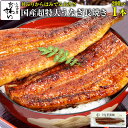 国産 超特大 うなぎ蒲焼き 200g×1本 うなぎ屋かわすい うなぎ ウナギ 鰻 蒲焼き 国内産 国産うなぎ 土用丑の日 冷凍食品 誕生日 お祝い 快気祝い お返し 退職祝い 定年 退職 プレゼント ギフト グルメ 食べ物 5尾 同梱 [丼からはみ出る超特大サイズ]