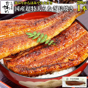 Y  ȂĂ 200g×1{ Ȃ킷 Ȃ EiM V Ă Y YȂ ypN̓ ⓀHi a j Cj Ԃ ސEj N ސE v[g Mtg