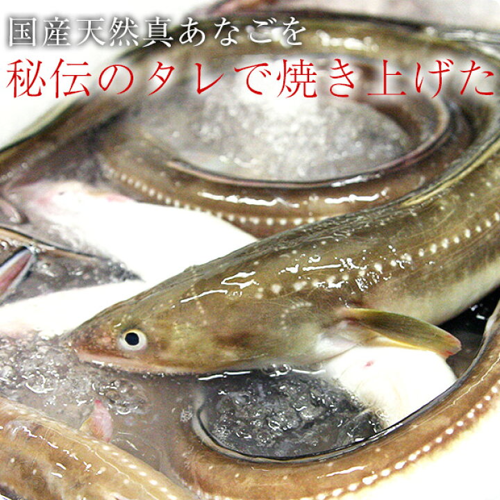 卓出 あなご 蒲焼き 65g 5食 国産 天然 真穴子 アナゴ 穴子 送料無料 Riosmauricio Com