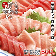 ＼楽天スーパーSALE！9月7日限定セール／ 本マグロ 500g 赤身 トロ マグロ 刺身 本マグロ刺身 紀州串本産…