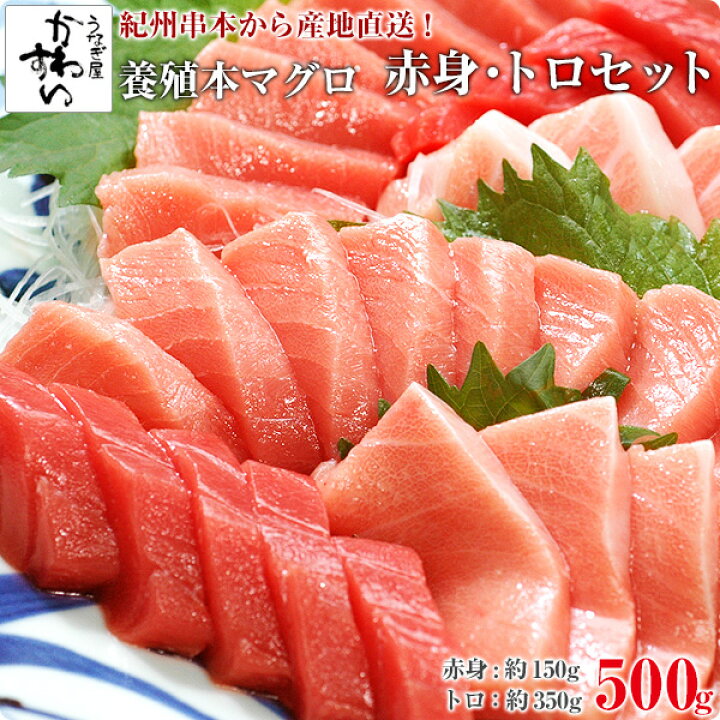 楽天市場 年始1月10日 発送 産地直送 紀州串本産 養殖本マグロのトロ 赤身セット500g鮪 さく まぐろ 本鮪 黒マグロ サク 寿司ネタ 刺身 Mp 魚介 特産 うなぎ屋かわすい 川口水産