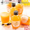楽天市場 かわいい 野菜 果実飲料 水 ソフトドリンク の通販