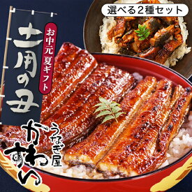 うなぎ 国産 かわすい 冷凍 うなぎ蒲焼 選べる2種セット ウナギ 鰻 蒲焼き ひつまぶし グルメ 内祝い 誕生日プレゼント 母親 父親 ギフト 【うなぎ屋かわすい】送料無料 食べ物 喜ばれる お中元 夏ギフト 御中元
