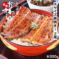 ＼7月26日は土用の丑の日／ うなぎ 国産 かわすい 冷凍 うなぎ蒲焼き 2尾300g 大サイズ ウナギ 鰻 蒲焼き…