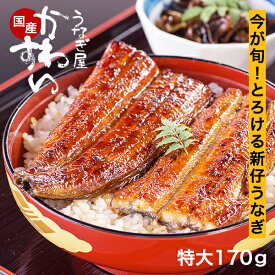 ＼身と皮が柔らかい／ 新仔うなぎ 秋の味覚 特大サイズ 新仔 シンコ しんこうなぎ 国産 かわすい 冷凍 うなぎ蒲焼き ウナギ 鰻 蒲焼き グルメ 【うなぎ屋かわすい】 送料無料 ギフト 新仔鰻 新仔ウナギ 新仔うなぎ蒲焼き 柔らかい 肉厚 特大 お取り寄せ 国産うなぎ
