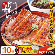 ＼ご予約特典 ポイント10倍＆白焼きプレゼント／ 予約販売 新仔うなぎ 秋の味覚 特大サイズ 新仔 シンコ …