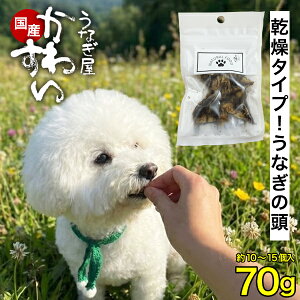 �y�b�g�t�[�h ���Ȃ��̓� �����^�C�v ���Y���Ȃ� ���Ȃ������킷�� ���[���� �������� �� ���� ���Y�� �f�Ă� �E�i�M �V ���p �L�p �y�b�g ����� �y�b�g�t�[�h ���̂���� �y�b�g�̂����