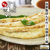 うなぎ 白焼き 国産 かわすい ＼専門店ならではの一品／ 国産うなぎ 白焼き 自家製ぽんず付 120g 【うな…