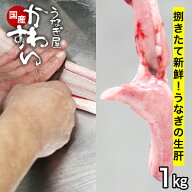 国産うなぎ 生肝 1キロ うなぎ屋かわすい 送料無料 バーベキュー BBQ ウナギ 鰻 生 調理済み 業務用 卸売…