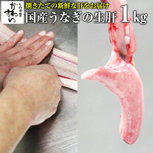 YȂ̐1L Ȃ킷 [ o[xL[ BBQ EiM V  ς Ɩp  MP]