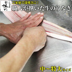 生のうなぎ 捌いた国産うなぎ うなぎ屋かわすい 開き ひらき 鰻 業務用 BBQ 送料無料 ウナギ 鰻 生 調理済み 腹開き キャンプ バーベキュー