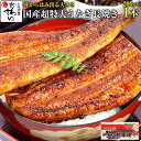 \3本以上クーポンで最大1500円OFF/超特大サイズの国産うなぎ蒲焼き200g×1本[土用丑の日 ウナギ 鰻 蒲焼き 国内産 老舗 贈り物 誕生日 プレゼント...