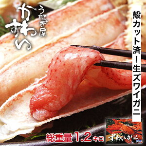 �Y���C�K�j ���H �h�g ����Ԃ���ԂɁI�J�j�|�[�V���� 1kg �� �����킢�I ���킢���� ���킢 �Y���C �������� 3L�T�C�Y �N���N�n ������ �Y���C�I ���� ���Ε� �~�M�t�g �ނ��g �� �H�� �k�J