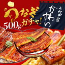 ＼当店最安値！お買い物マラソンセール／ 何が入るかお楽しみ！うなぎガチャ福袋 うなぎ 国産 かわすい 冷凍 うなぎ蒲…