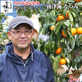 [収穫次第順次発送]生駒さんの南津海 なつみ 5キロなつみ 有田みかん 和歌山 ミカン 蜜柑 みかん 有田市認定みかん農家 みかん 柑橘