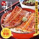 ＼今がお得！早割／ 新仔 うなぎ 国産 蒲焼き 大サイズ 150g 2～5本 うなぎ屋かわすい 送料無料 ウナギ 鰻 ひつまぶし うな丼 秋の土用丑 土用丑 秋の味覚 秋グルメ 冷凍食品 誕生日 プレゼント お祝い 快気祝い 内祝 お返し 退職祝い 定年 退職 プレゼント ギフト 旬 セール