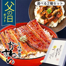 父の日 まだ間に合う ギフト うなぎ 国産 かわすい 冷凍 うなぎ蒲焼 選べる2種セット ウナギ 鰻 蒲焼き ひつまぶし グルメ 内祝い 誕生日プレゼント 母親 父親 ギフト 【うなぎ屋かわすい】送料無料 食べ物 喜ばれる 父の日当日到着可能