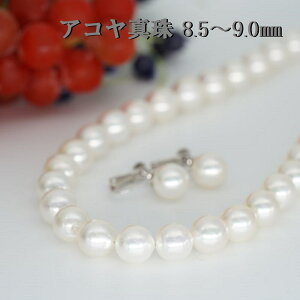 y 6a΁Elłz p[lbNX p[Zbg {^lbNX {^ CO p[`[J[ ARp[ SV 8.5`9mm ^Zbg 嗱 30 40 50 LO o