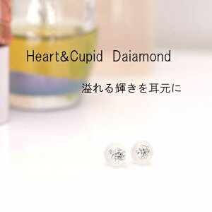 Pt_CsAX v`i_ChsAX X^bhsAX _CsAX n[g L[sbh ꗱ_C Ӓ菑J[ht a LO lł o v`i v`isAX W