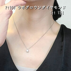 yl܂Iz y{OE_Chz v`i_ChlbNX 1Jbg_Ch V_Ch v`i900 ꗱlbNX 嗱 Ӓ菑t VS1 Pt900 V