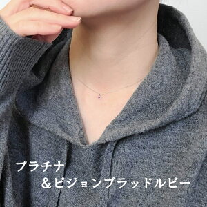 y7a΁z r[lbNX v`ir[v`lbNX Pt950 sWubh ӕʏt v`lbNX r[_Cy_g VR  i Ԃ  ؚ a L