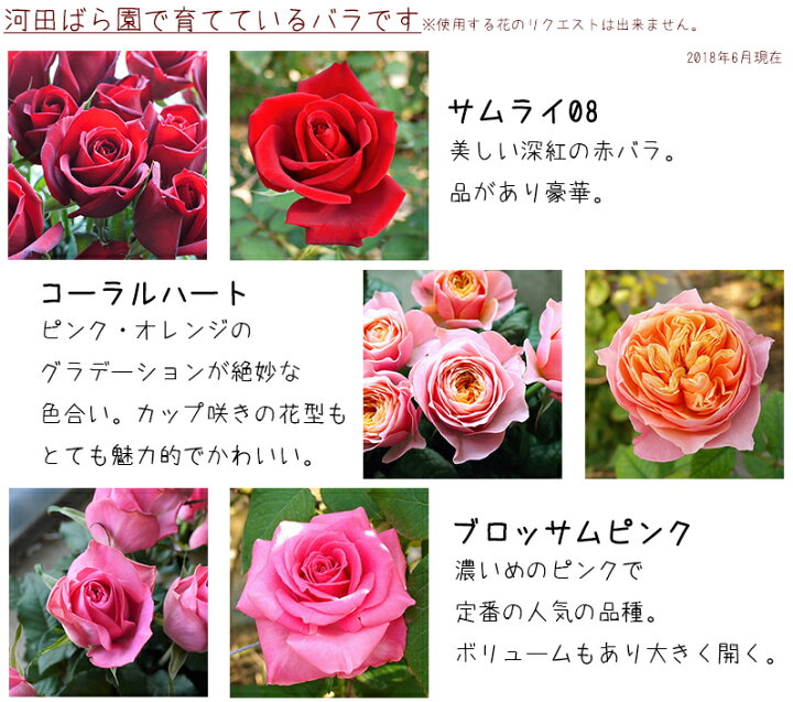 楽天市場 誕生日 花 母 女性 女友達 男性 ギフト 送料無料 誕生日プレゼント フラワーアレンジメント バラ ギフト 送別会 季節の花 退職祝い 退院祝い 結婚記念日 発表会 祝い 記念日 お礼 妻 渋沢栄一 代 30代 40代 50代 60代 70代 80代 90代