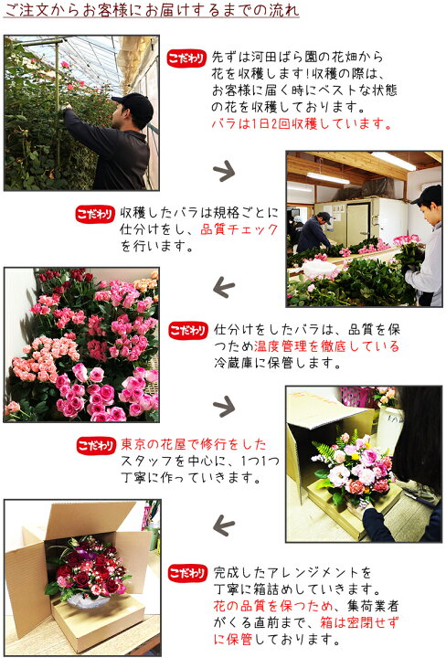 楽天市場 誕生日 花 母 女性 女友達 男性 ギフト 送料無料 誕生日プレゼント フラワーアレンジメント バラ ギフト 送別会 季節の花 退職祝い 退院祝い 結婚記念日 発表会 祝い 記念日 お礼 妻 渋沢栄一 代 30代 40代 50代 60代 70代 80代 90代