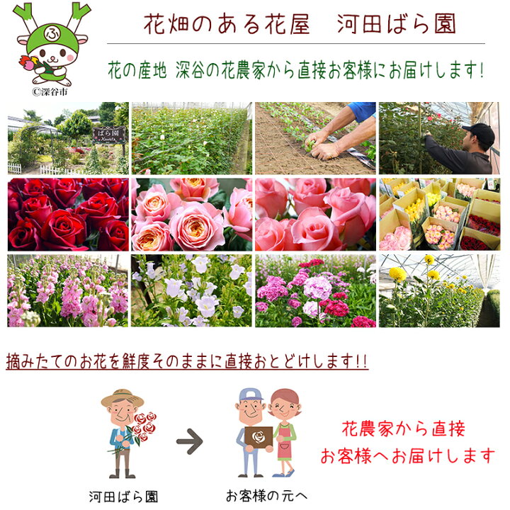 楽天市場 誕生日 花 母 女性 女友達 男性 ギフト 送料無料 誕生日プレゼント フラワーアレンジメント バラ ギフト 送別会 季節の花 退職祝い 退院祝い 結婚記念日 発表会 祝い 記念日 お礼 妻 渋沢栄一 代 30代 40代 50代 60代 70代 80代 90代
