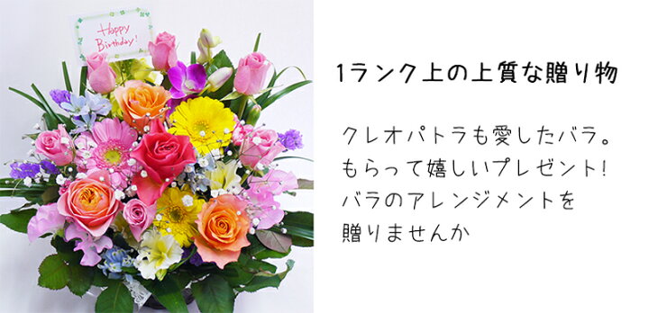 楽天市場 誕生日 花 母 女性 女友達 男性 ギフト 送料無料 誕生日プレゼント フラワーアレンジメント バラ ギフト 送別会 季節の花 退職祝い 退院祝い 結婚記念日 発表会 祝い 記念日 お礼 妻 暑中見舞い 残暑見舞い 渋沢栄一 代 30代 40代 50代 60代 70代 80代
