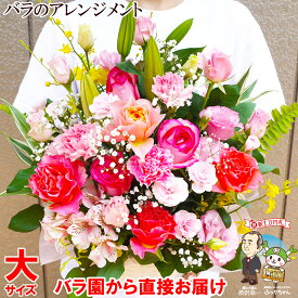 大サイズ 花 ギフト 誕生日 プレゼント 女性 女友達 母 男性 父の日 お中元 送料無料 送別会 季節の花 フラワーアレンジメント バラ 退職祝い 退院祝い 結婚記念日 発表会 記念日 ギフト 祝い お礼 妻 渋沢栄一 20代 30代 40代 50代 60代 70代 80代 90代