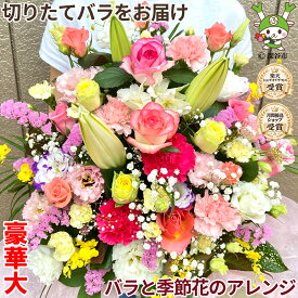 豪華大サイズ 誕生日プレゼント 女性 女友達 花 母 男性 ギフト 送料無料 フラワーアレンジメント バラ 退職祝い 退院祝い 季節の花 送別会 結婚記念日 発表会 記念日 祝い お礼 妻 渋沢栄一 20代 30代 40代 50代 60代 70代 80代 90代