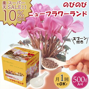 yyVX[p[SALE 10%OFFz_^ ݌Ɍ L@엿 A  ϗtA  A  h{ y { ̂т̂уj[t[h 500g