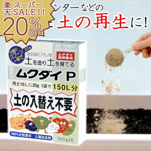 yyVX[p[SALE 20%OFFzyǍ y Đ TCN { K[fjO ƒ؉ |  N_CP 300g A~m_ ]f aQ \h ΍ A i