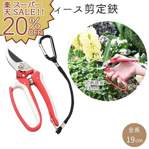 yyVX[p[SALE 20%OFFzoT~ g fB[X  | SGP-32 K[fjO |pi