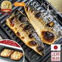 ＼楽天1位／ グリルパン 日本製 グリルプレート 魚焼きグリル プレート 28.5×20cm 四角型 鉄製 深型 ワイド トースター対応 キッチン用品 調理器具 川端滝三郎商店