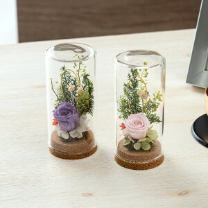 �v���U�[�u�h�t�����[���ԃ~�j�@�R���N�h�[��