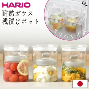 nI Ђe Еe ϔMKX r e Е sNX ȒP OX X 800ml TGS-800-T HΉ { Lb`G Lb`pi