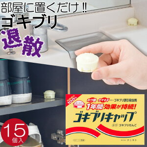 SLuLbv 15 SLu  u ^jTP ʂ˂ zE_ Y { ybsOΏۊOz